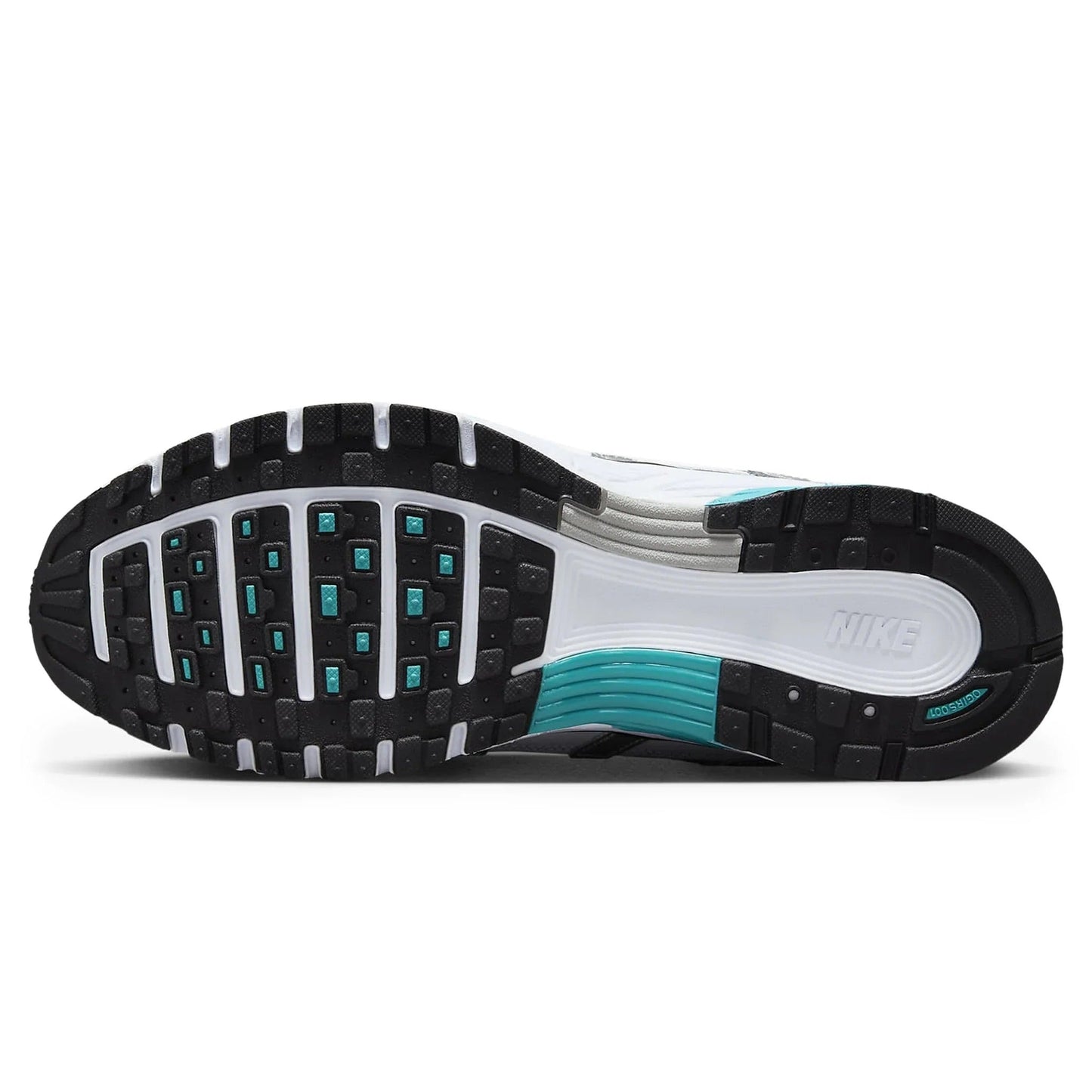 Nike Dusty Cactus P-6000